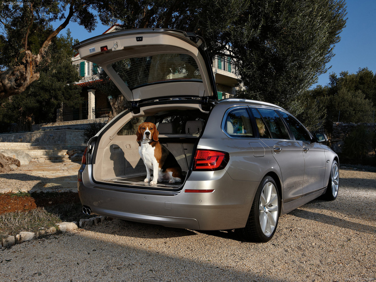 BMW 5-series Touring фото 75367