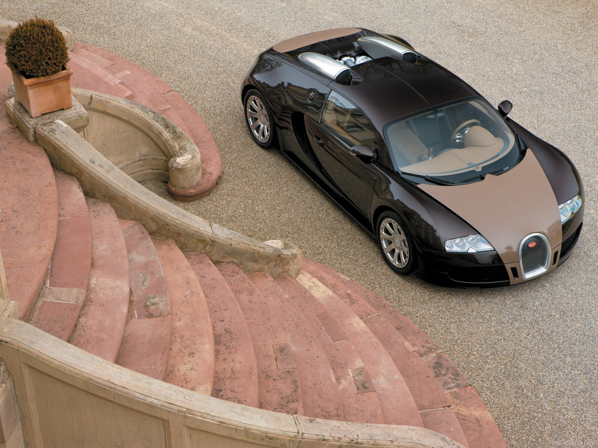 Bugatti Veyron Fbg par Hermes фото 53572