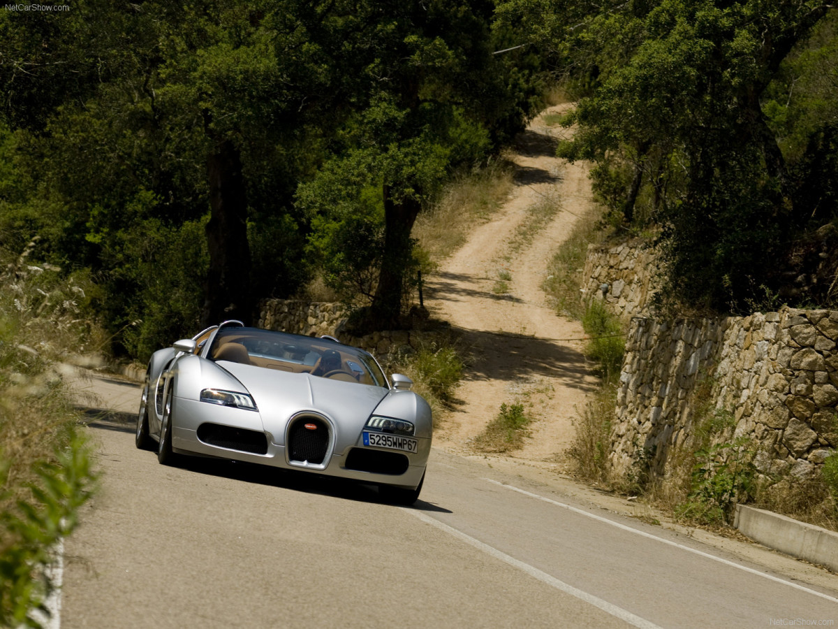 Bugatti Veyron Grand Sport фото 67114
