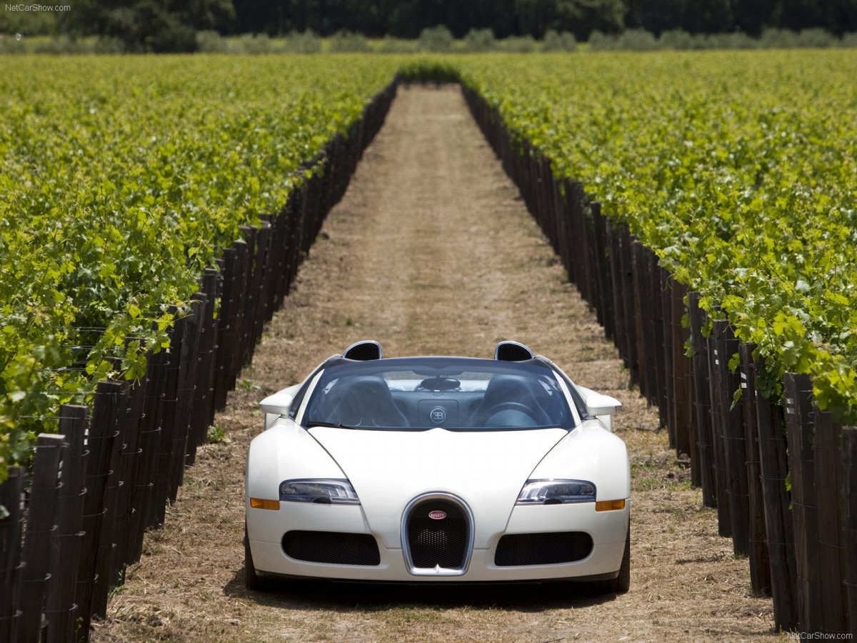 Bugatti Veyron Grand Sport фото 67115