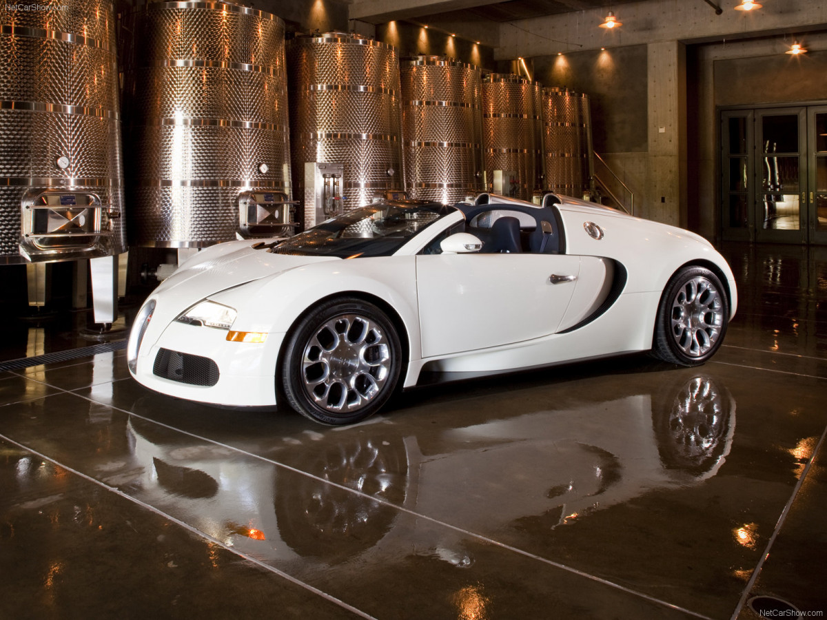 Bugatti Veyron Grand Sport фото 67116