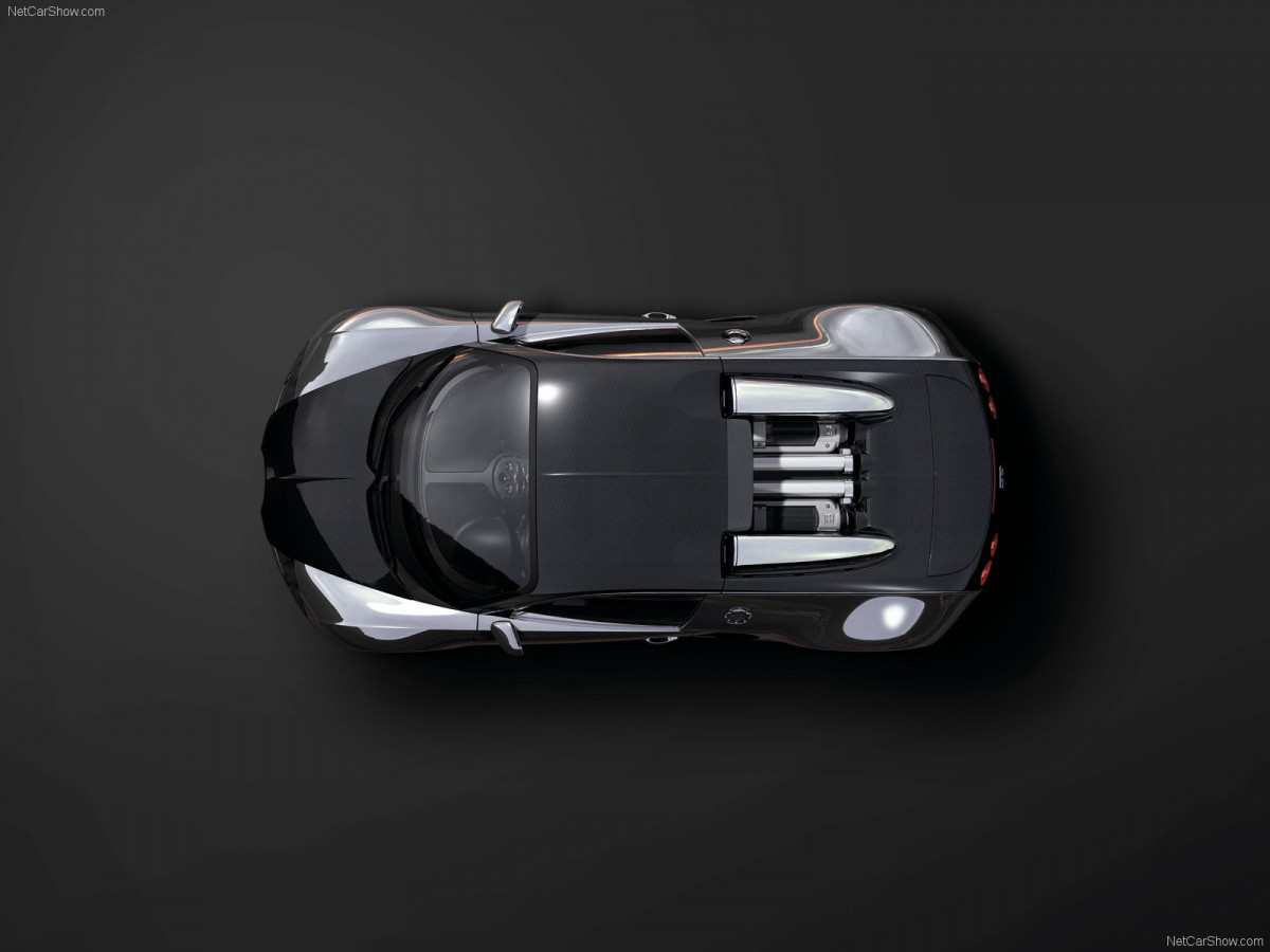 Bugatti Veyron Pur Sang фото 47466