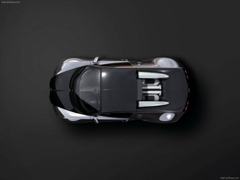 Bugatti Veyron Pur Sang фото