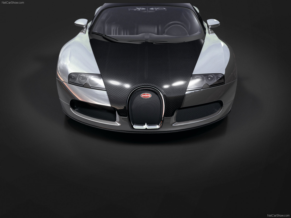 Bugatti Veyron Pur Sang фото 47467