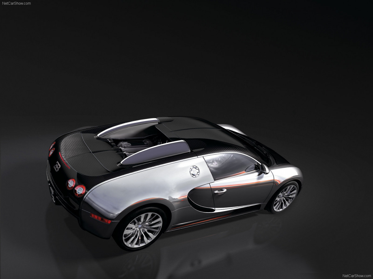 Bugatti Veyron Pur Sang фото 47468