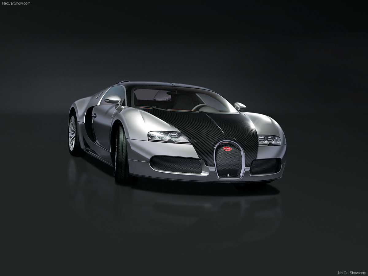 Bugatti Veyron Pur Sang фото 47469