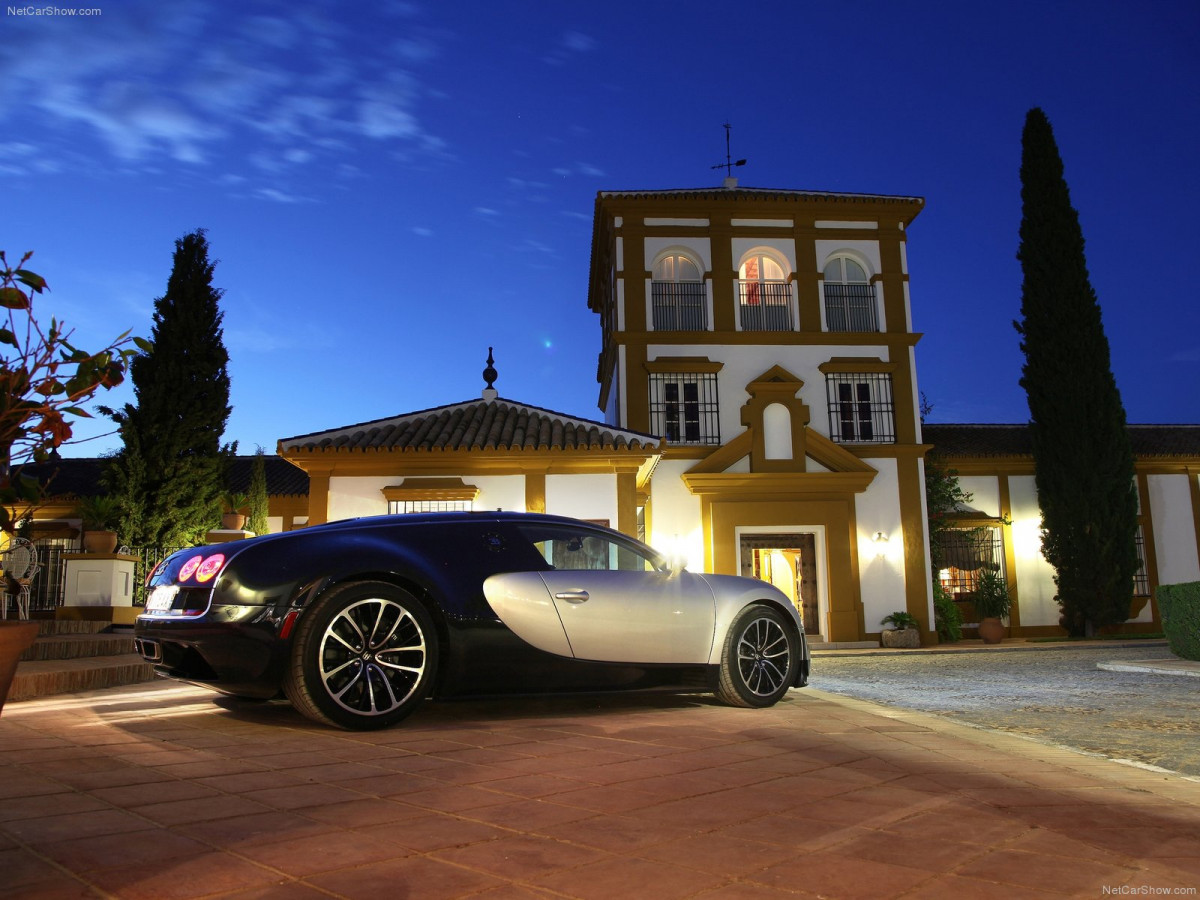 Bugatti Veyron Super Sport фото 80526