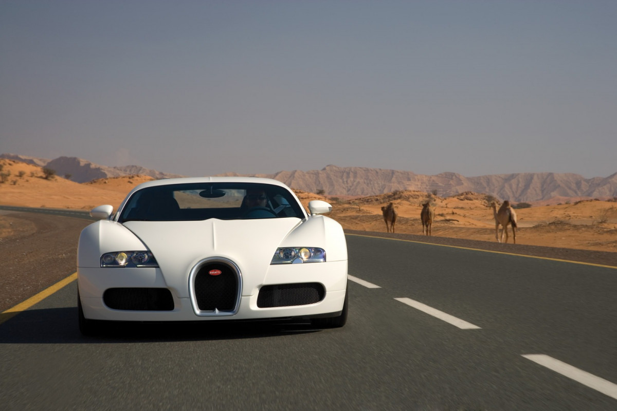 Bugatti Veyron фото 167481