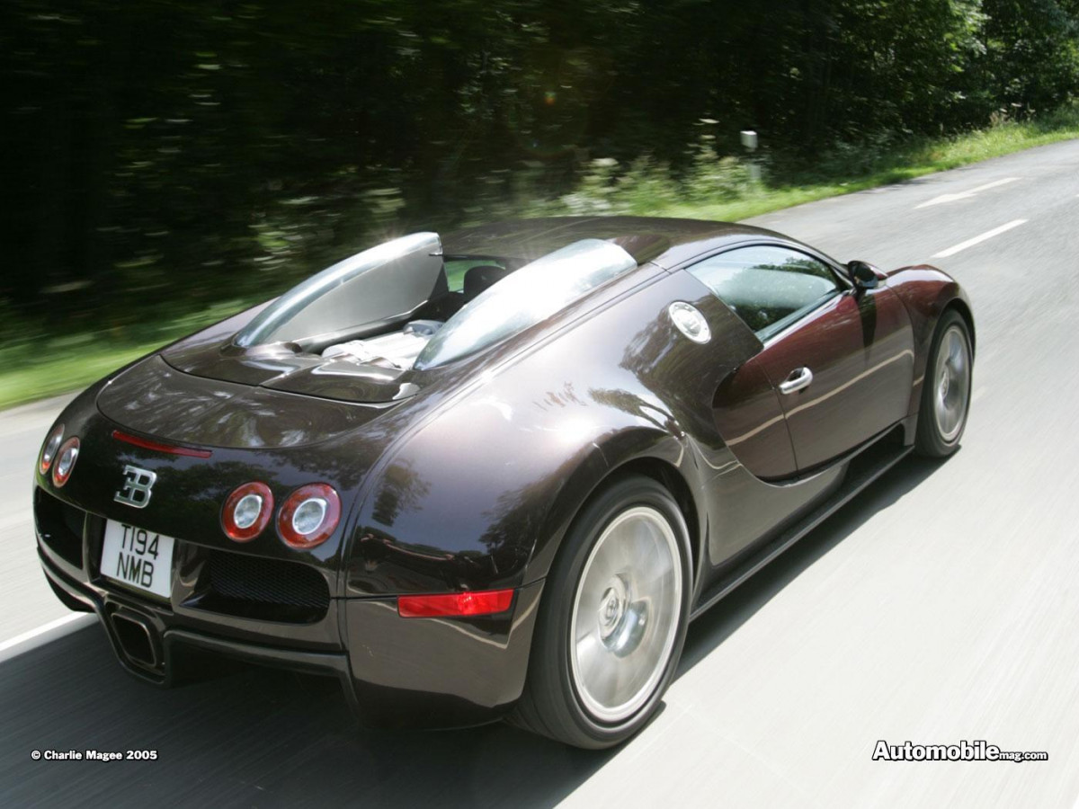 Bugatti Veyron фото 28491
