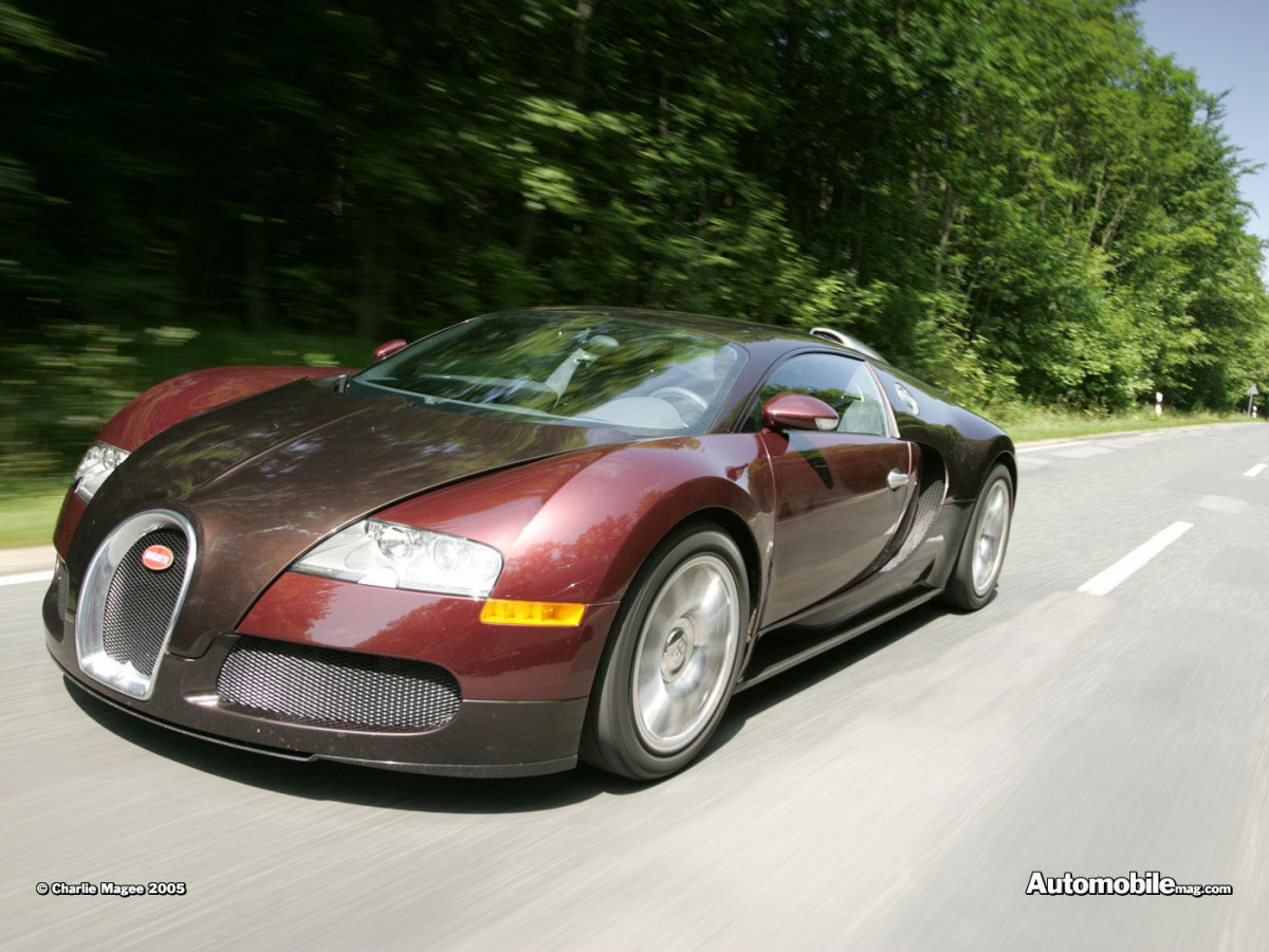 Bugatti Veyron фото 28493