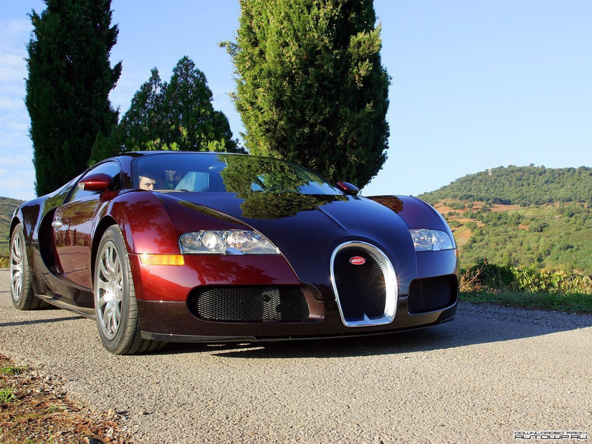 Bugatti Veyron фото 63827