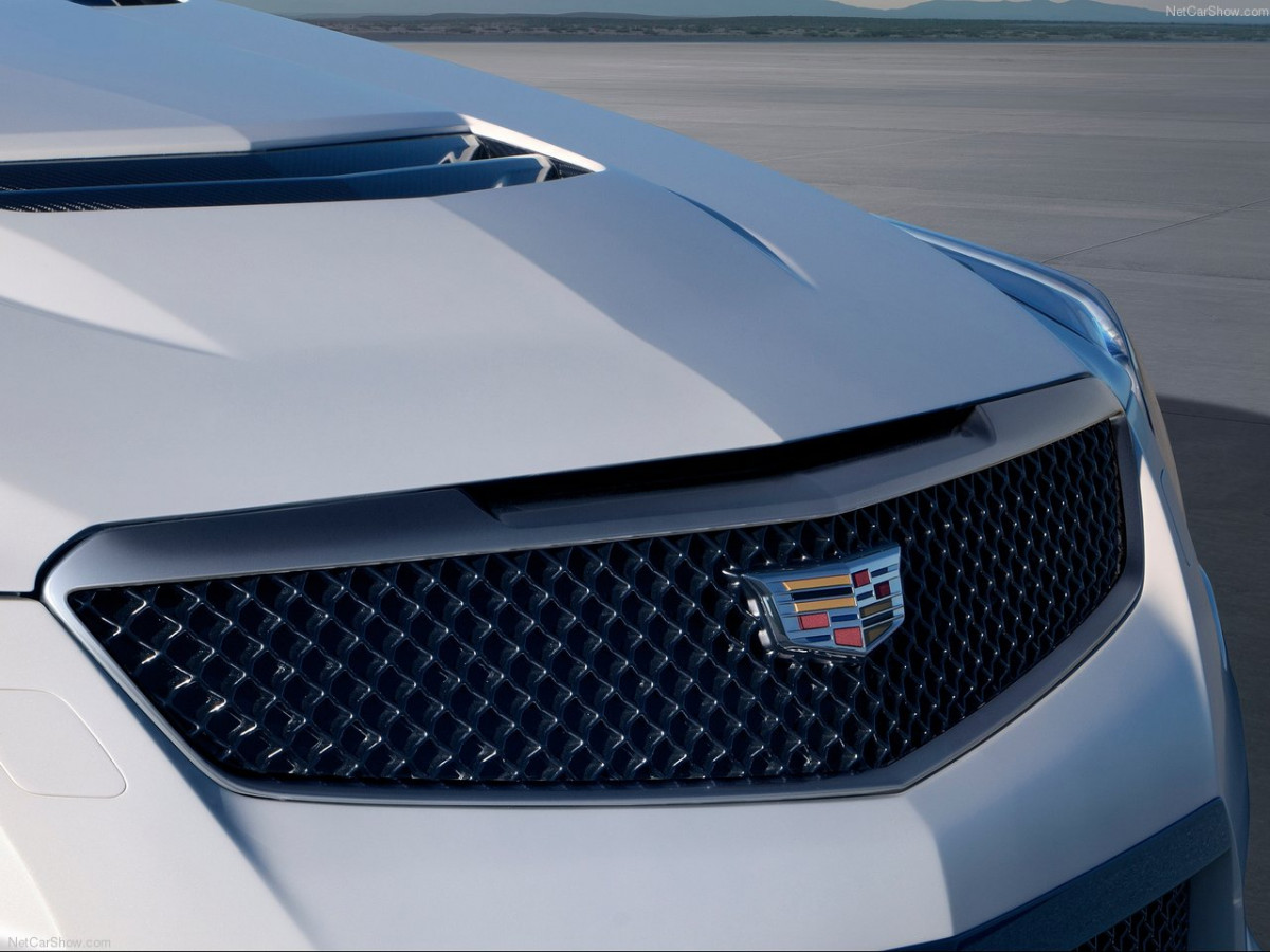 Cadillac ATS-V Coupe фото 146043