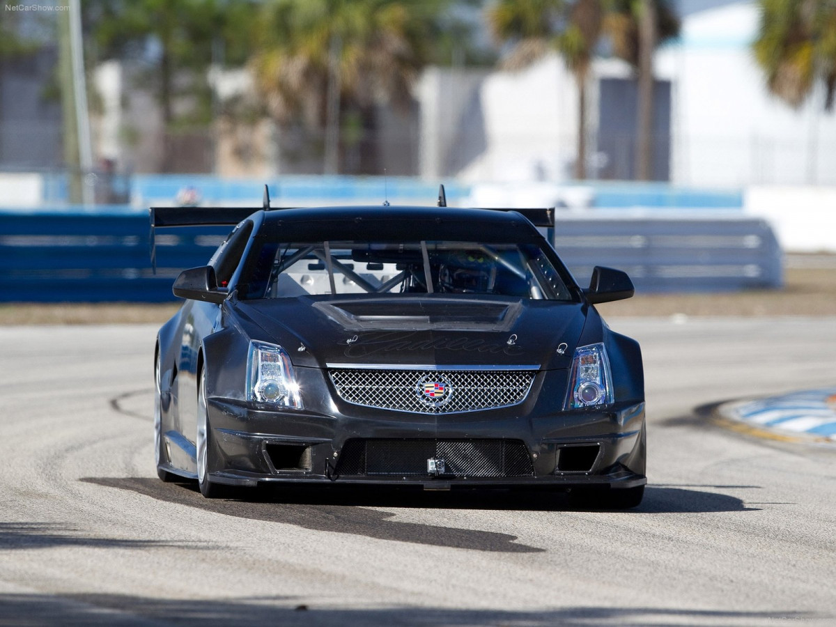 Cadillac CTS-V Coupe Race Car фото 117911