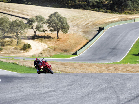 Ducati 1098 фото