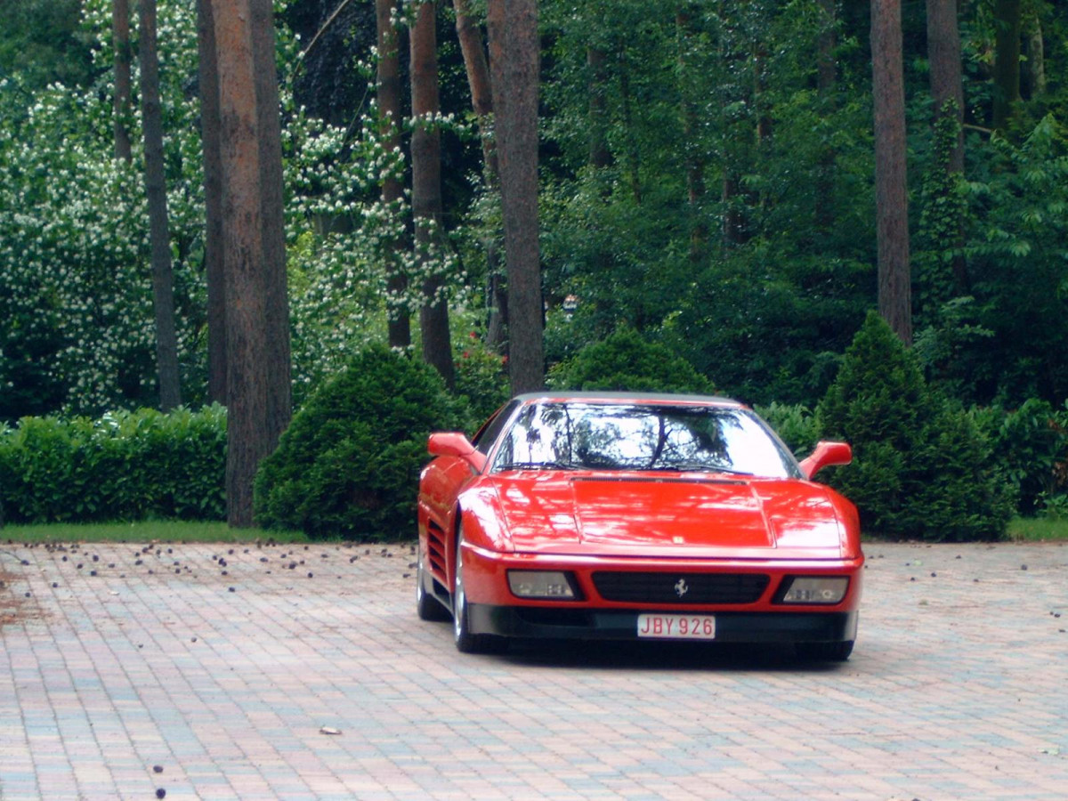 Ferrari 348 TS фото 12109
