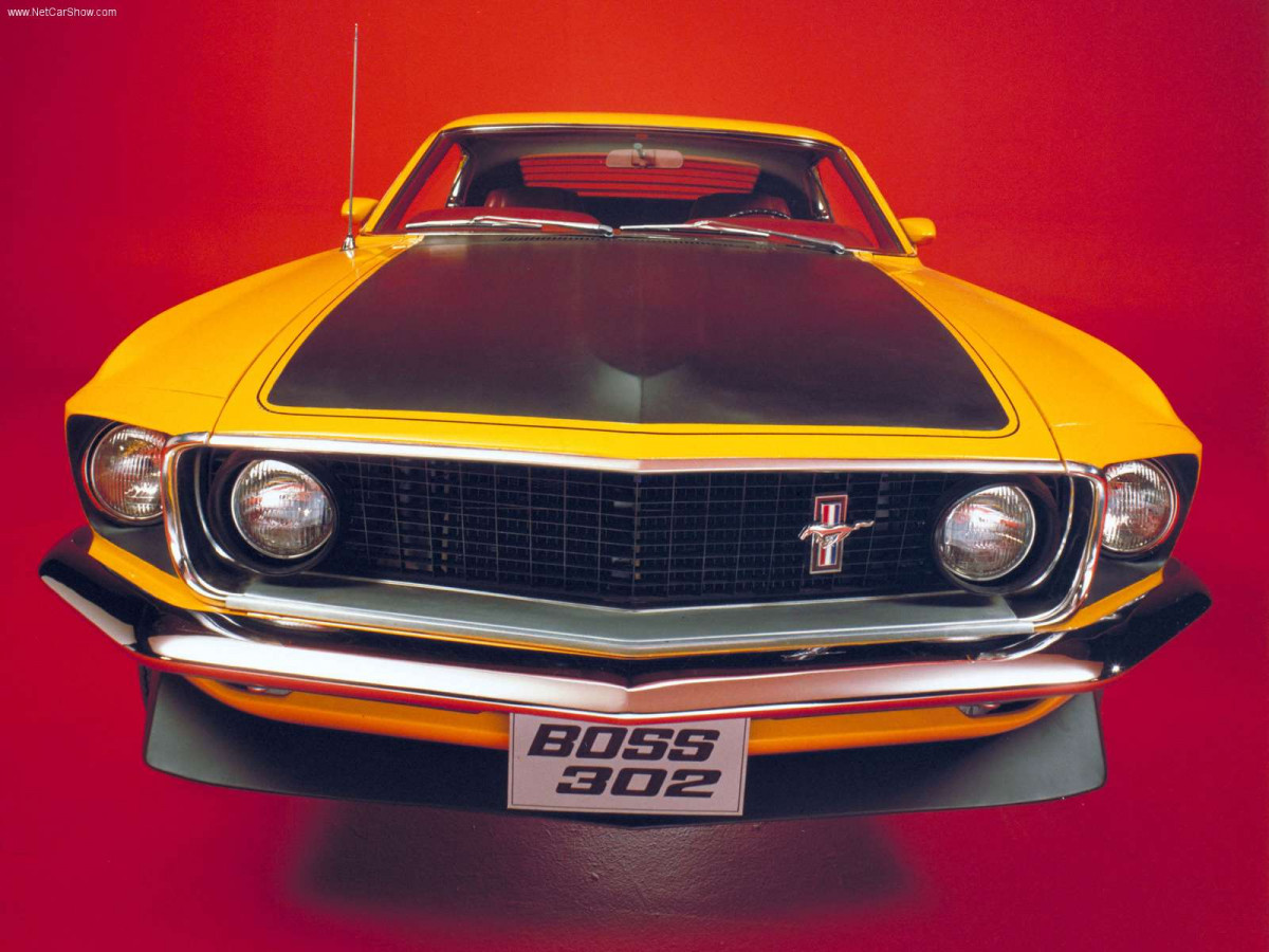 Ford Mustang Boss 302 фото 72694