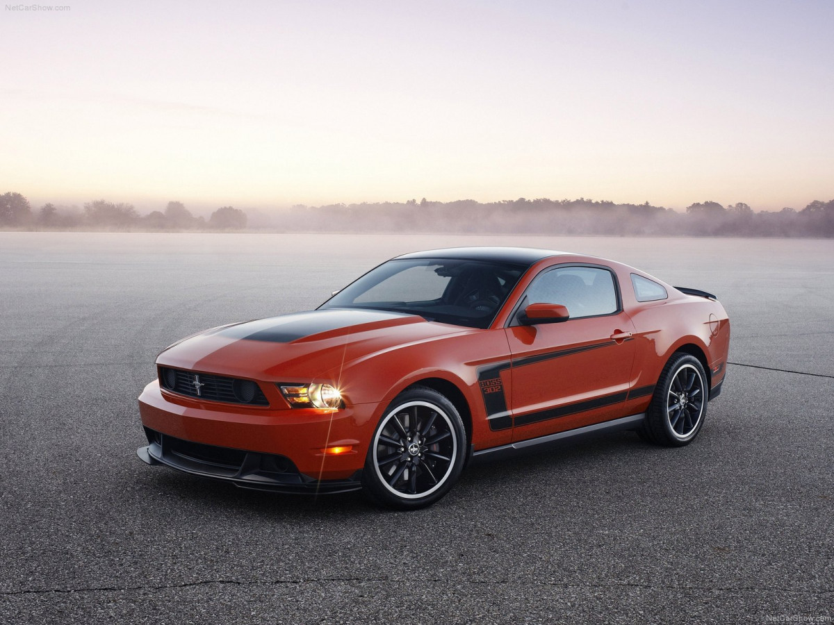 Ford Mustang Boss 302 фото 78041