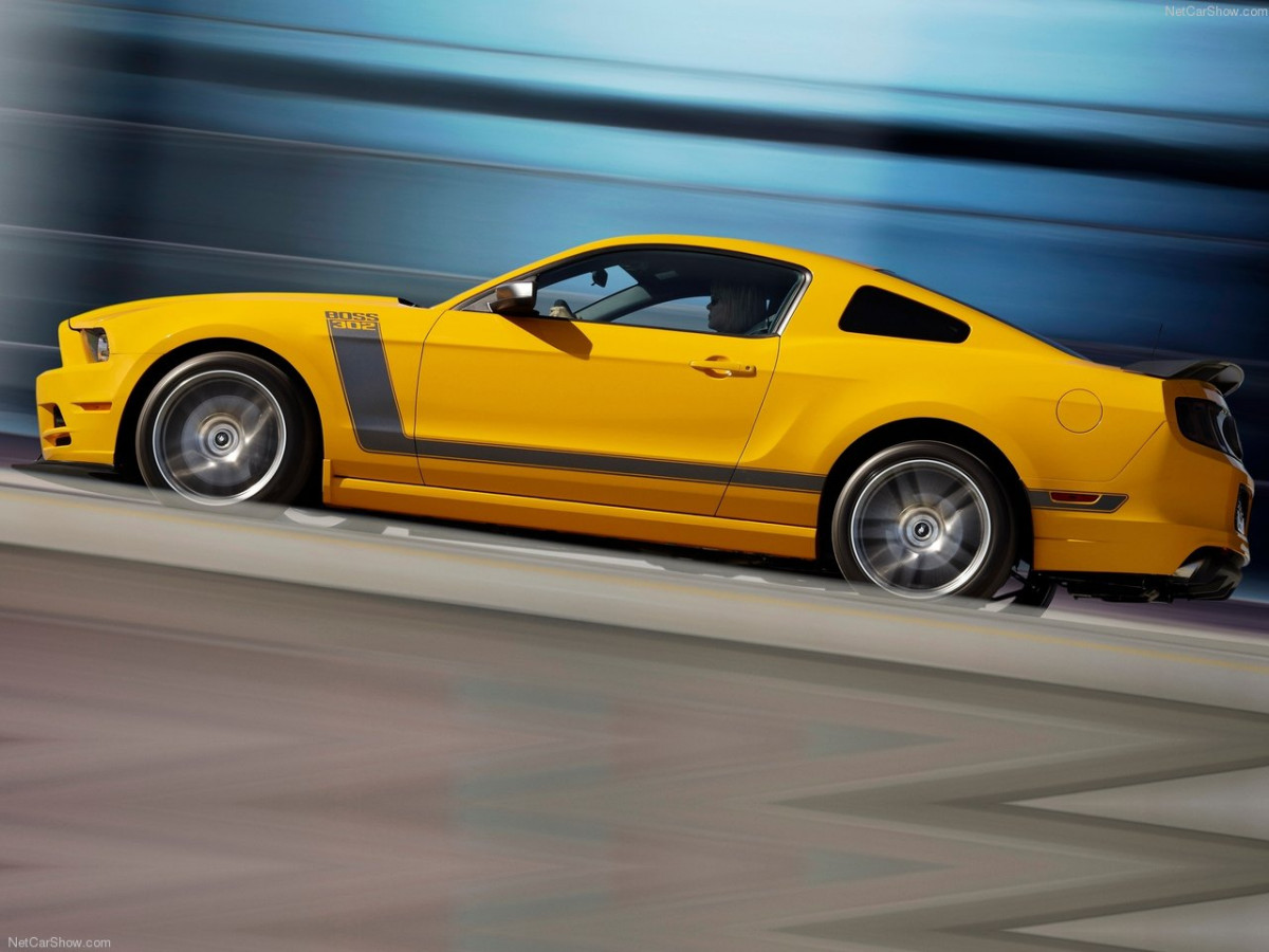 Ford Mustang Boss 302 фото 89842