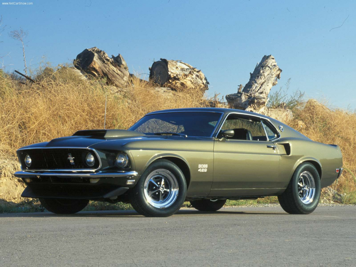 Ford Mustang Boss 429 фото 72690
