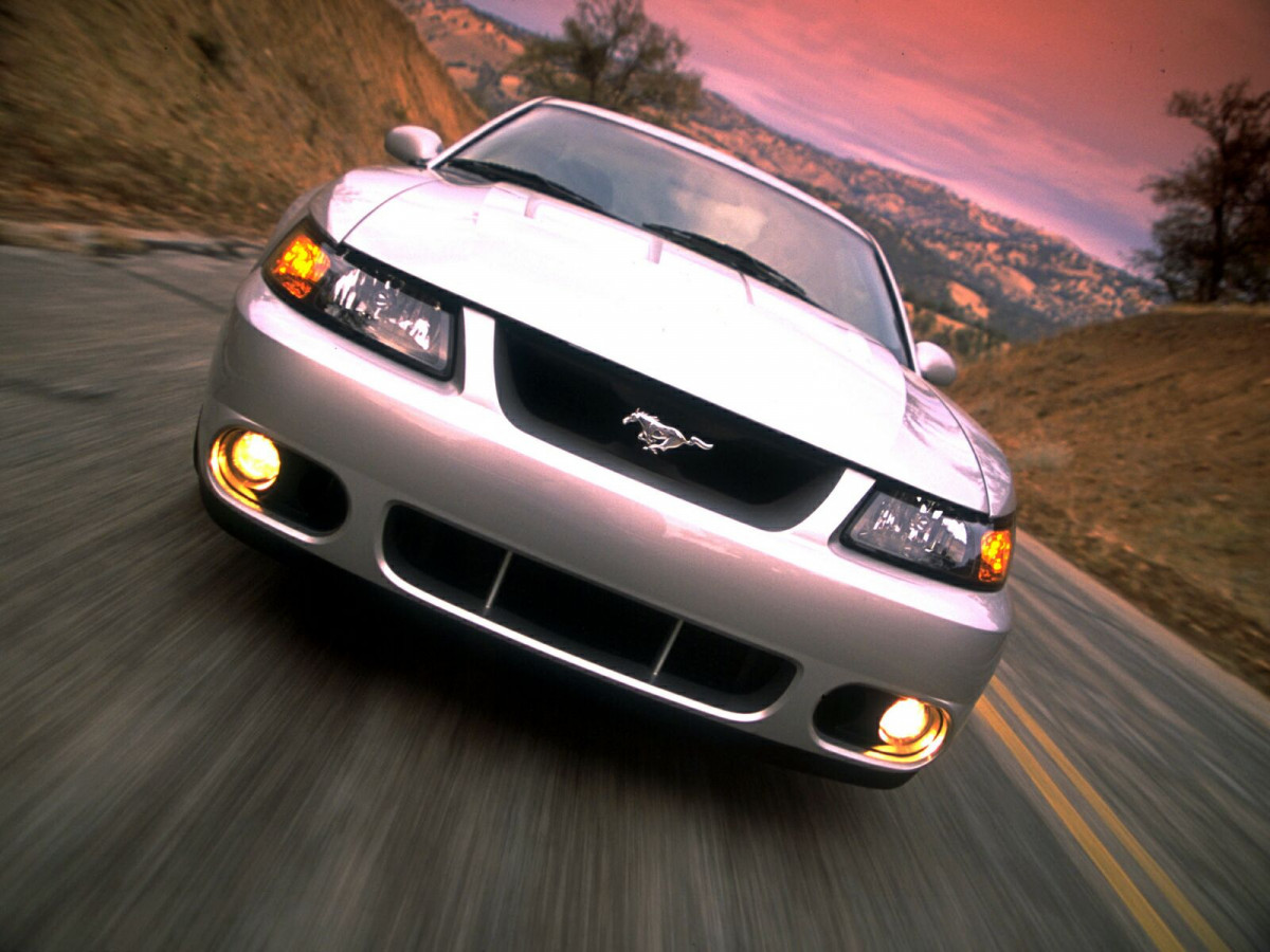 Ford Mustang Cobra фото 10609