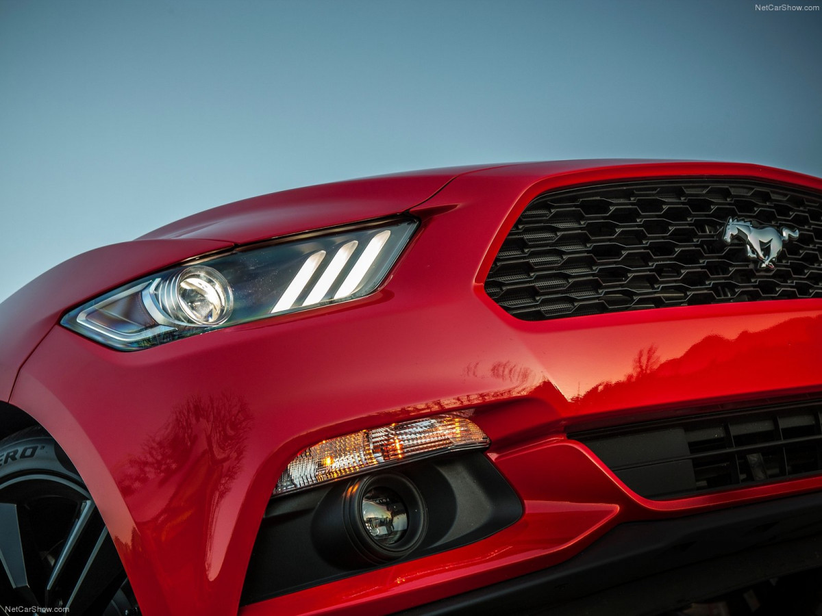 Ford Mustang EcoBoost фото 135113