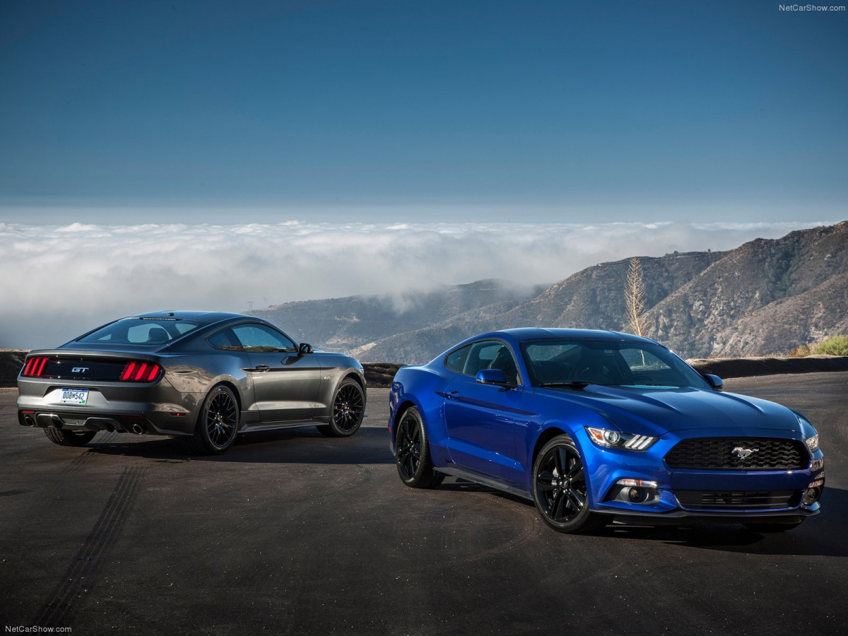 Ford Mustang EcoBoost фото 135123