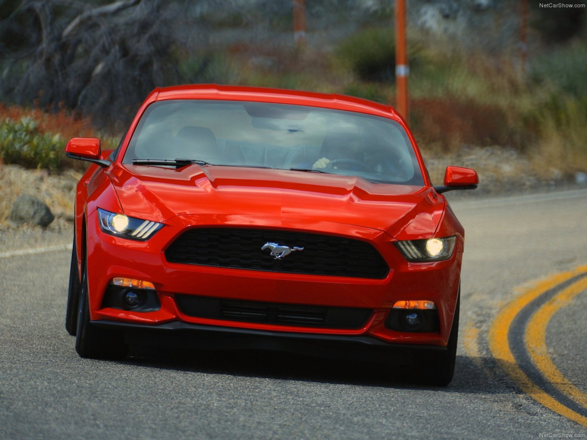 Ford Mustang EcoBoost фото 135126