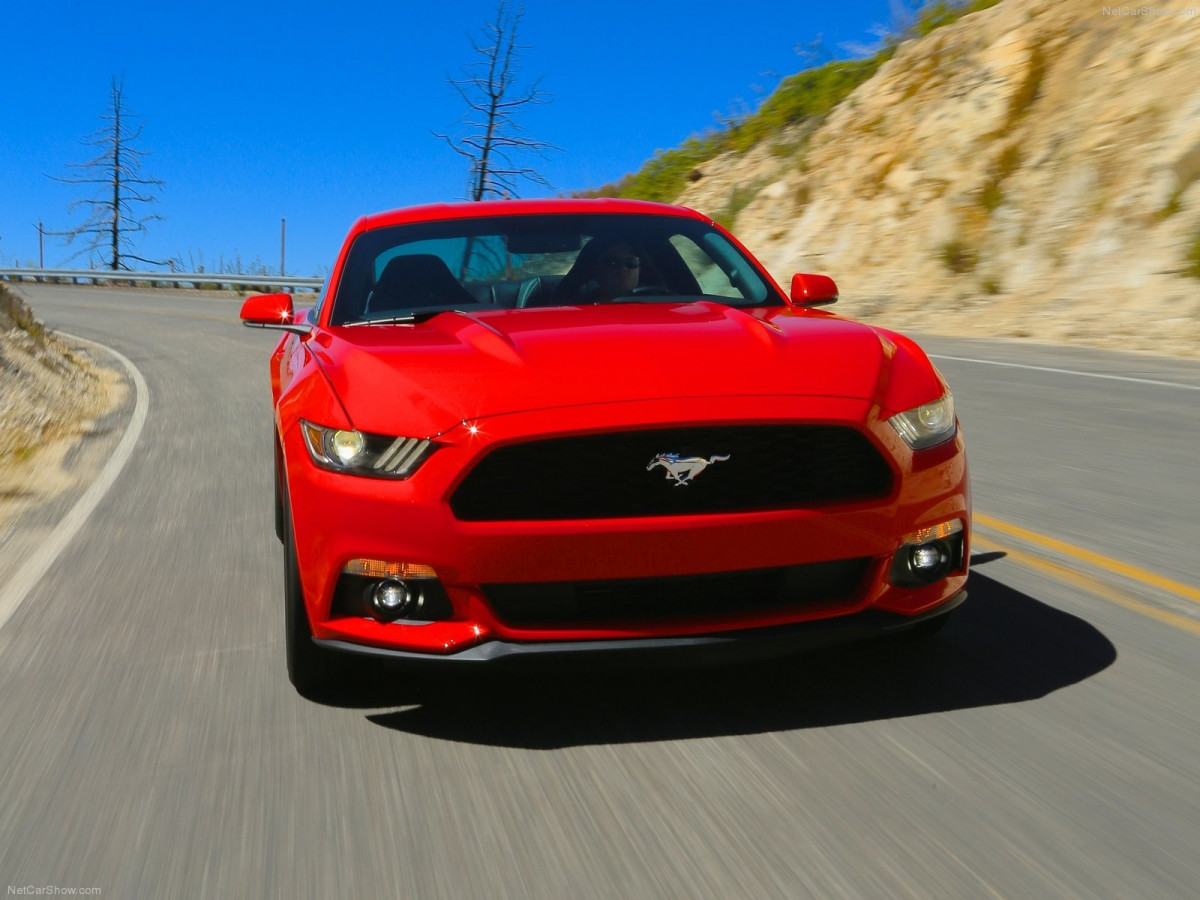 Ford Mustang EcoBoost фото 135127