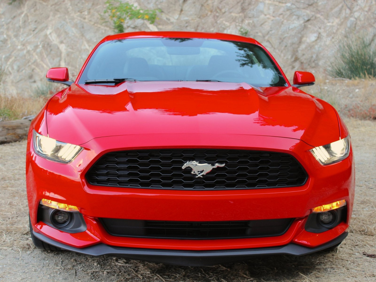 Ford Mustang EcoBoost фото 135129