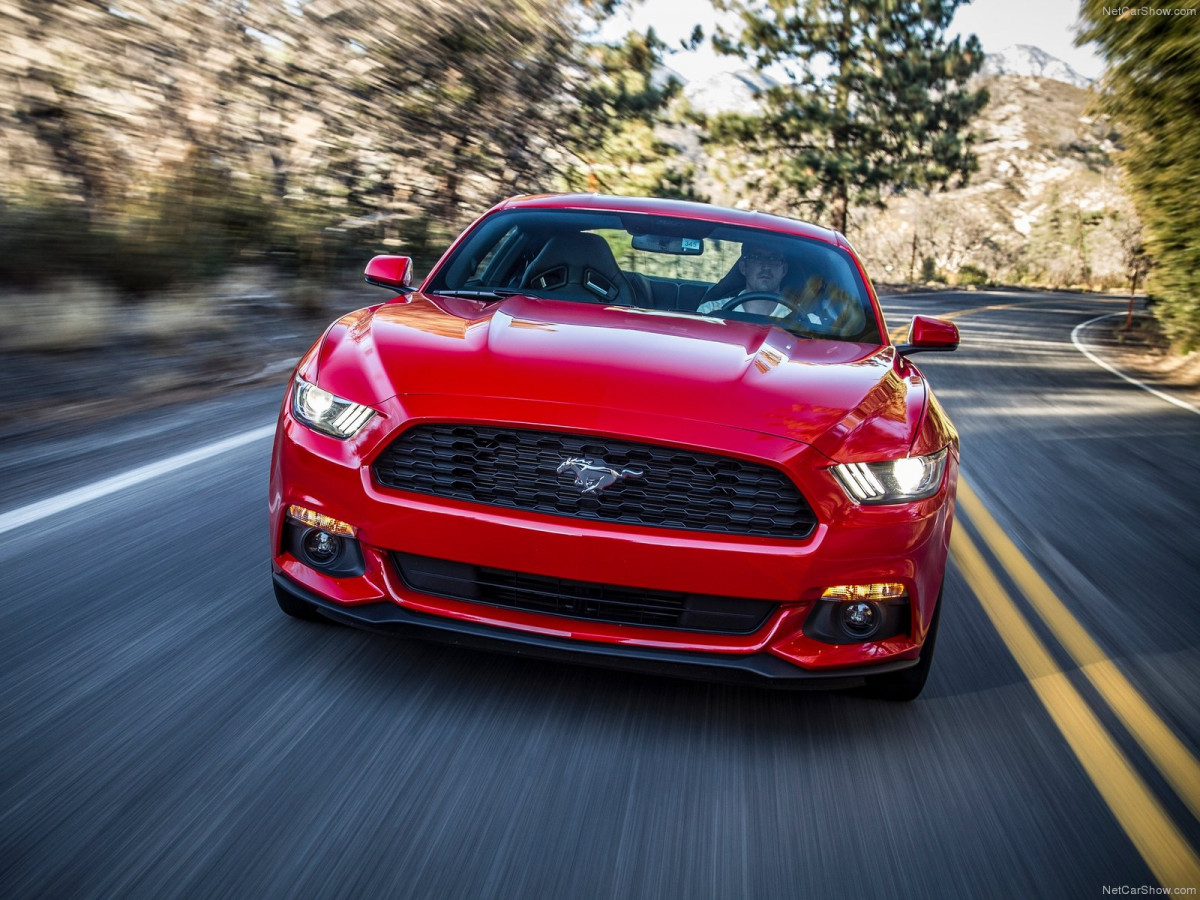 Ford Mustang EcoBoost фото 135130