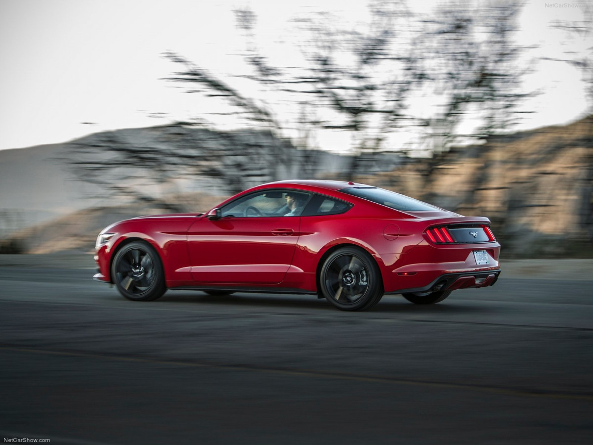 Ford Mustang EcoBoost фото 135131