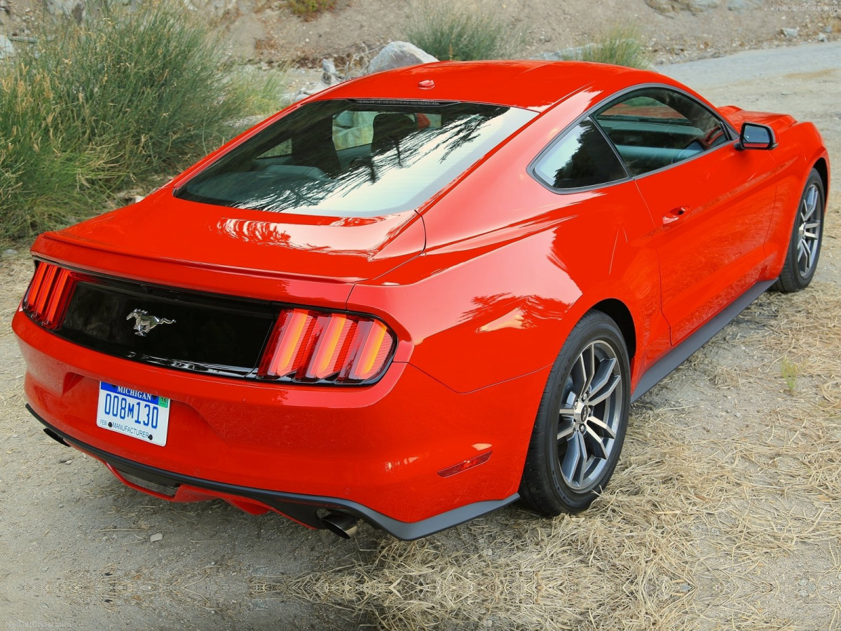 Ford Mustang EcoBoost фото 135136