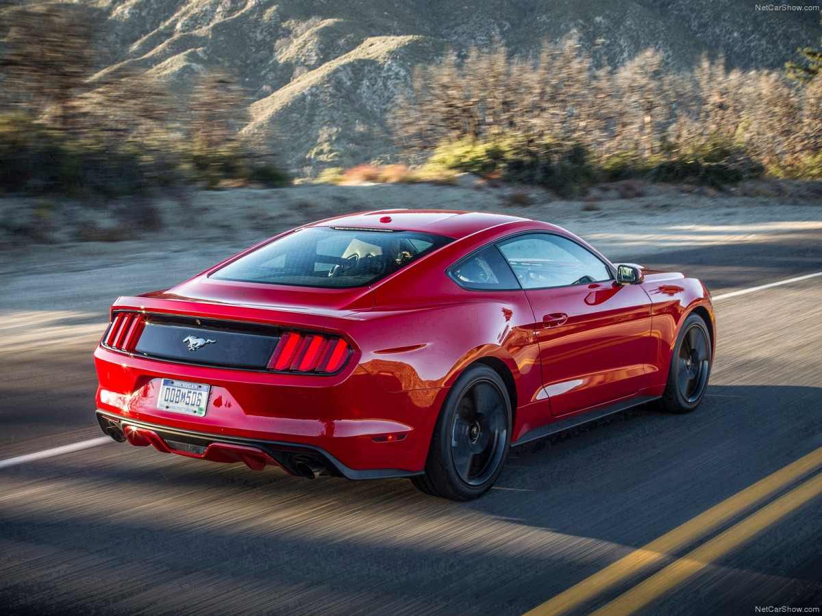 Ford Mustang EcoBoost фото 135137