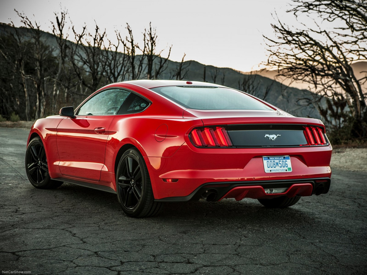 Ford Mustang EcoBoost фото 135139