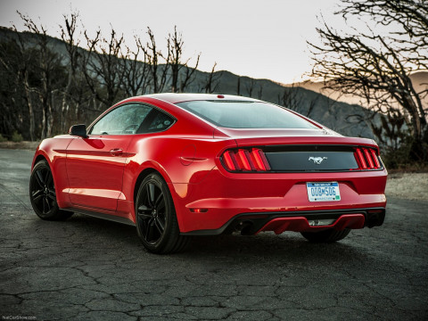 Ford Mustang EcoBoost фото
