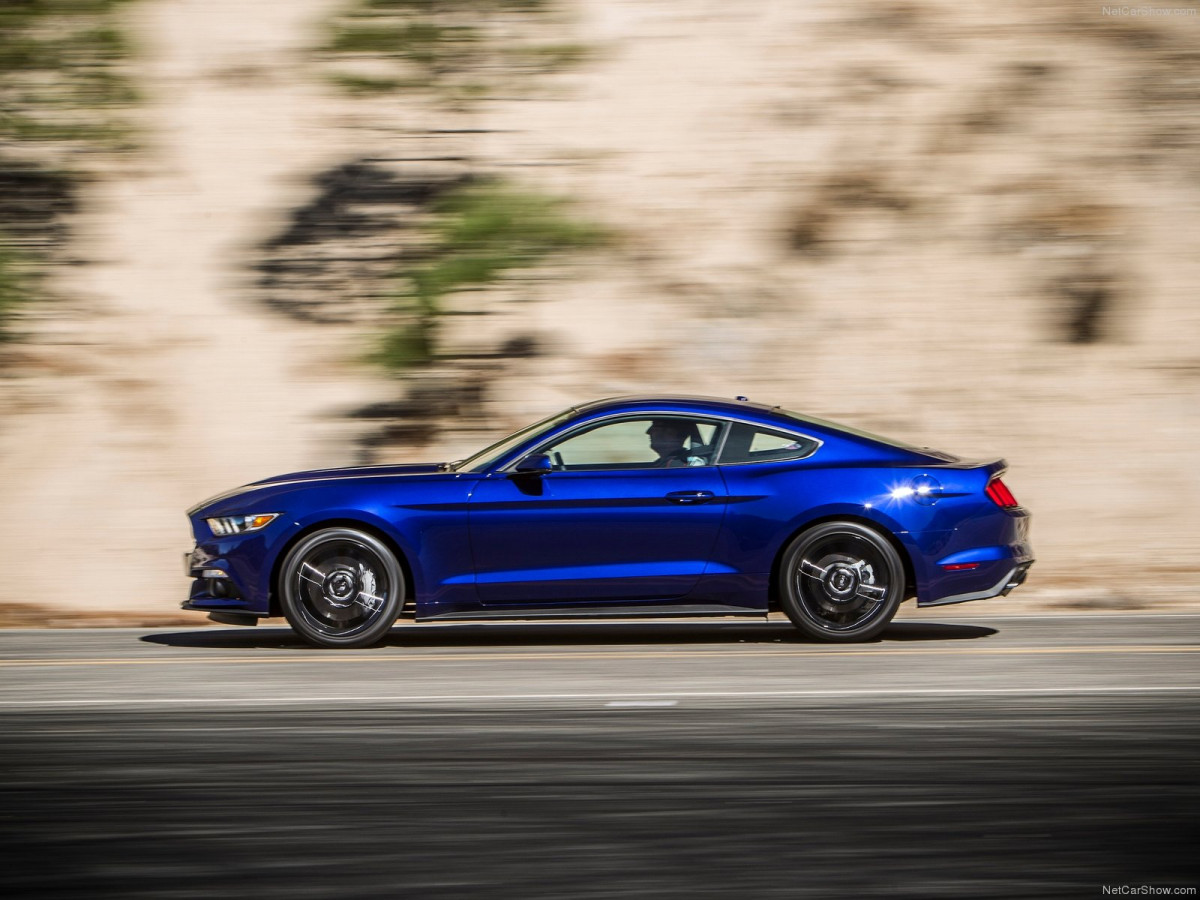 Ford Mustang EcoBoost фото 135142