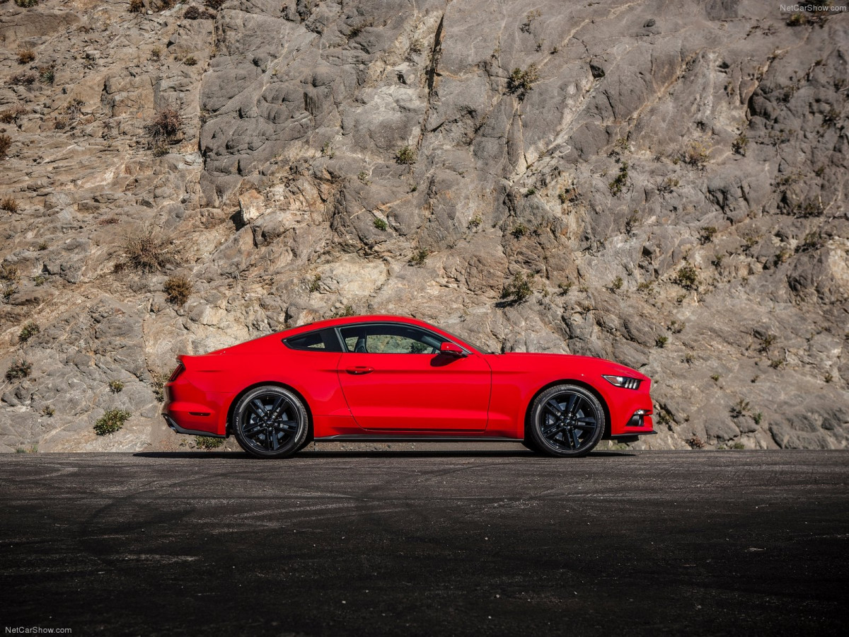 Ford Mustang EcoBoost фото 135144