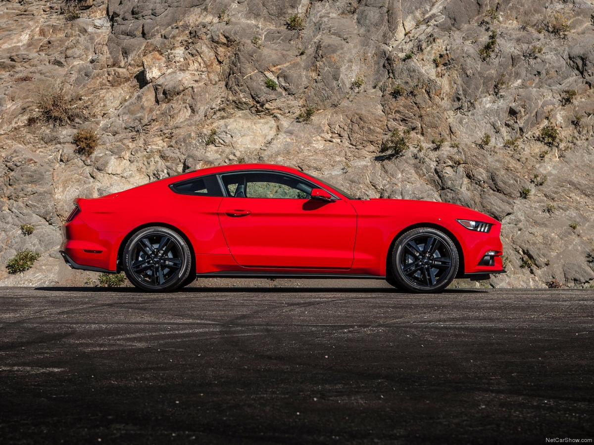 Ford Mustang EcoBoost фото 135145