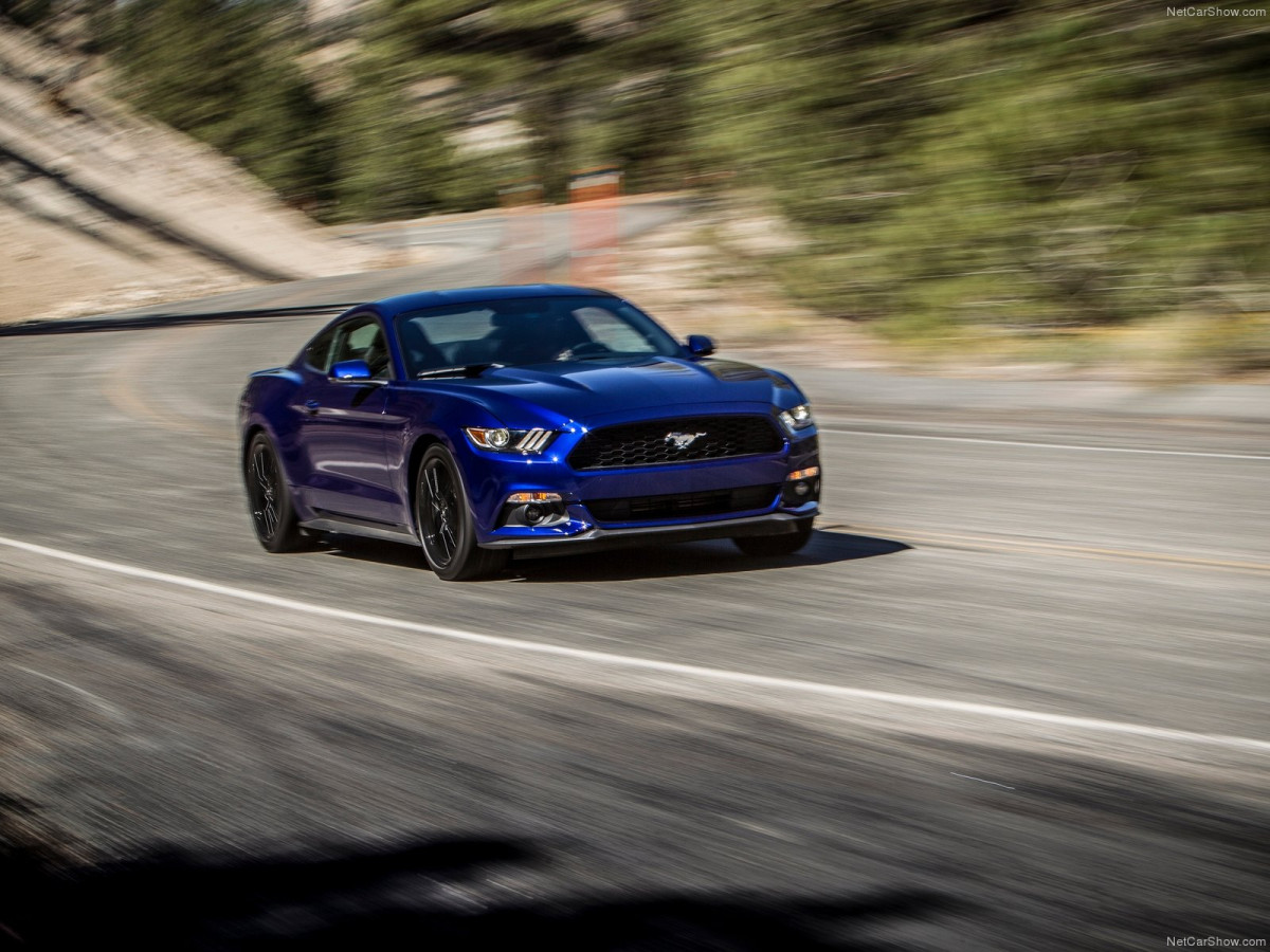 Ford Mustang EcoBoost фото 135147