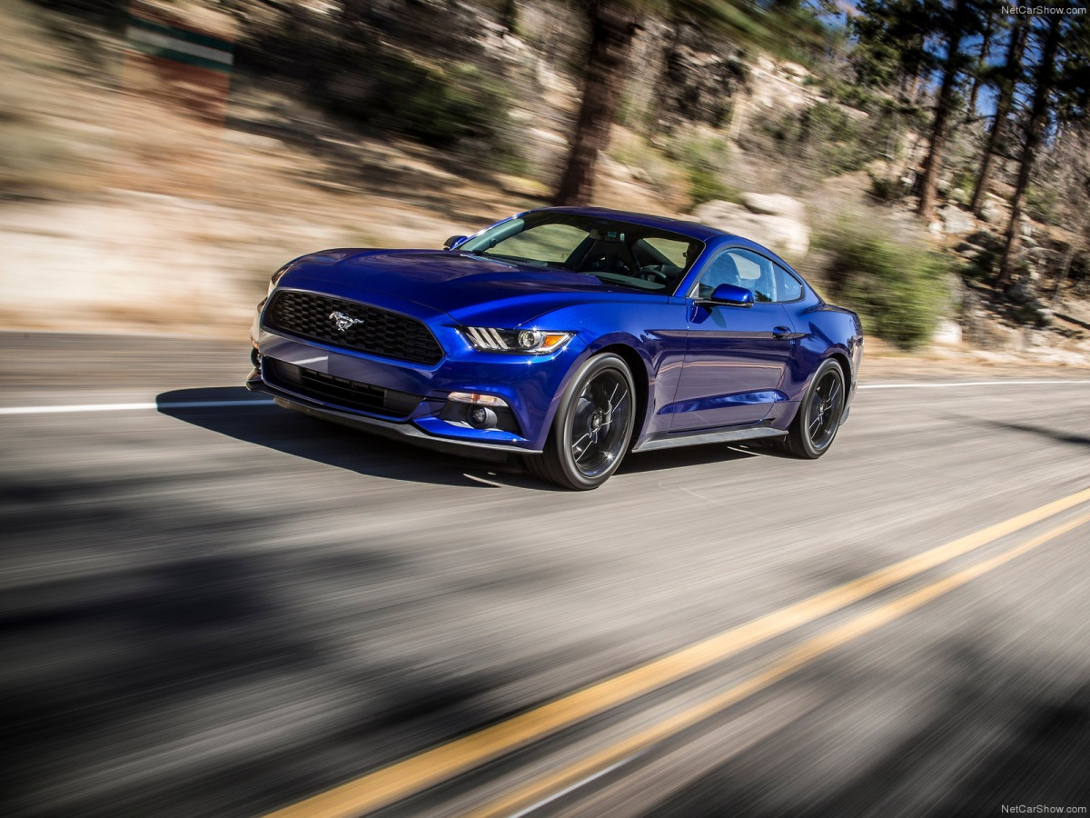 Ford Mustang EcoBoost фото 135149