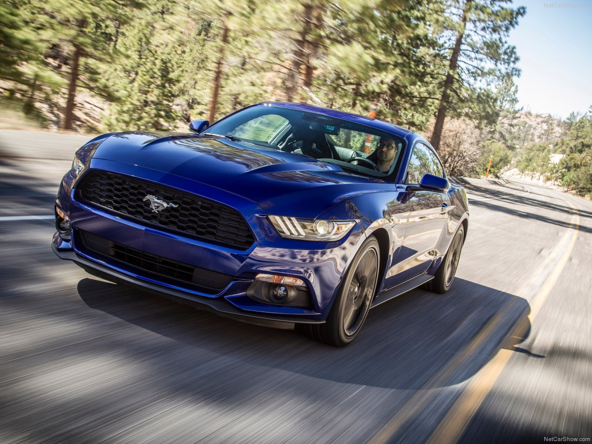 Ford Mustang EcoBoost фото 135150