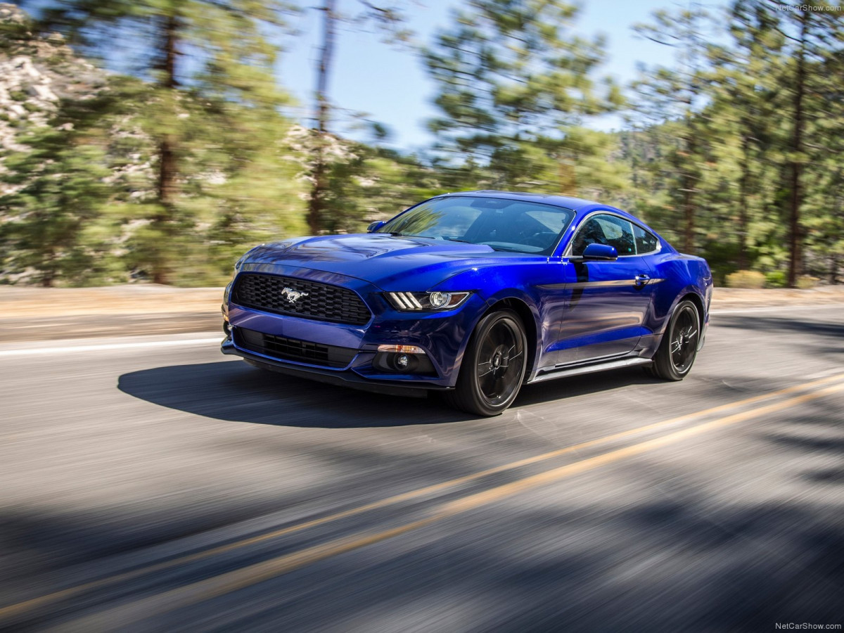 Ford Mustang EcoBoost фото 135151