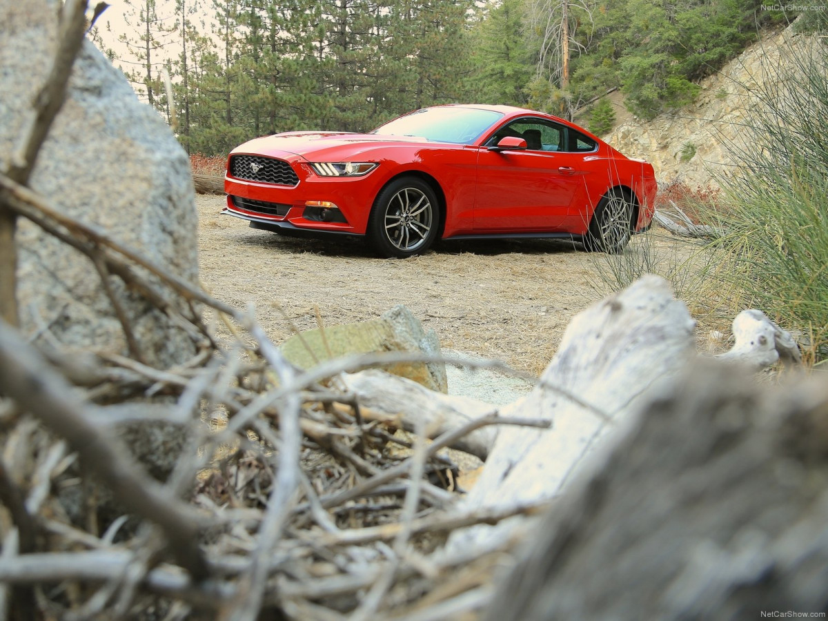 Ford Mustang EcoBoost фото 135152