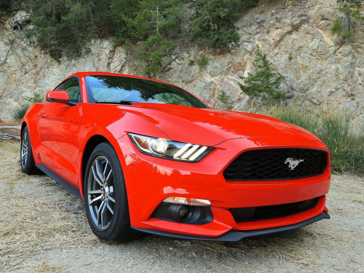 Ford Mustang EcoBoost фото 135154