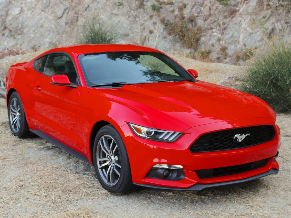Ford Mustang EcoBoost фото 135157