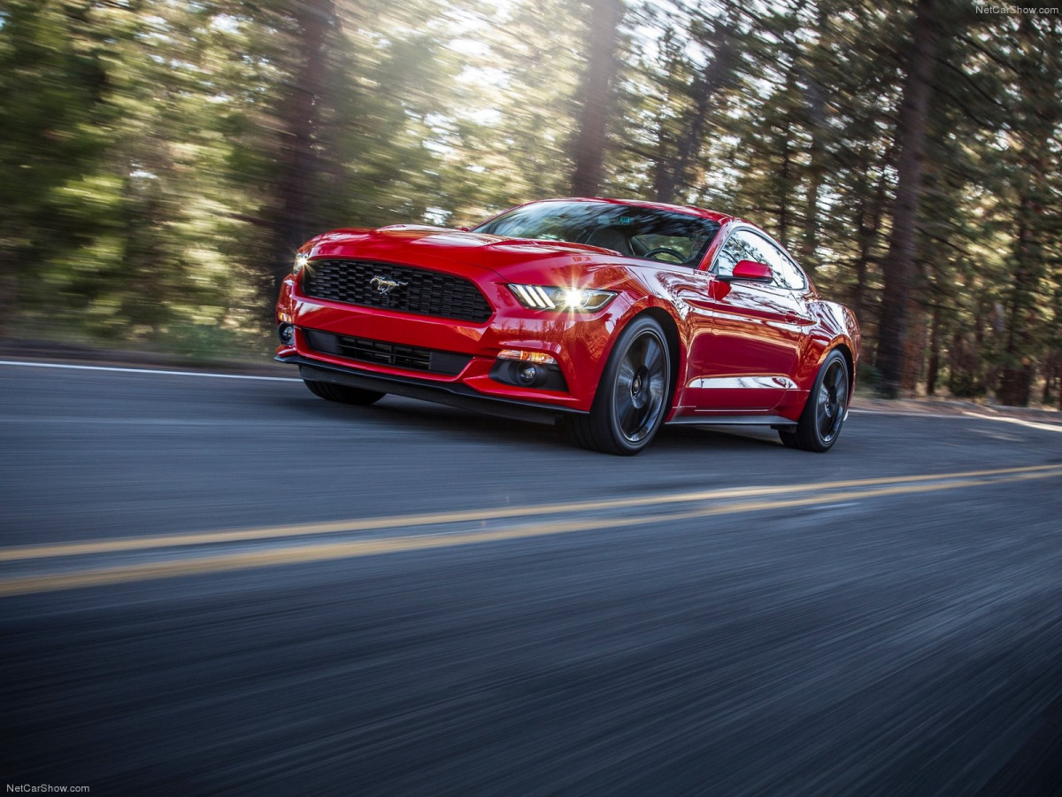 Ford Mustang EcoBoost фото 135158