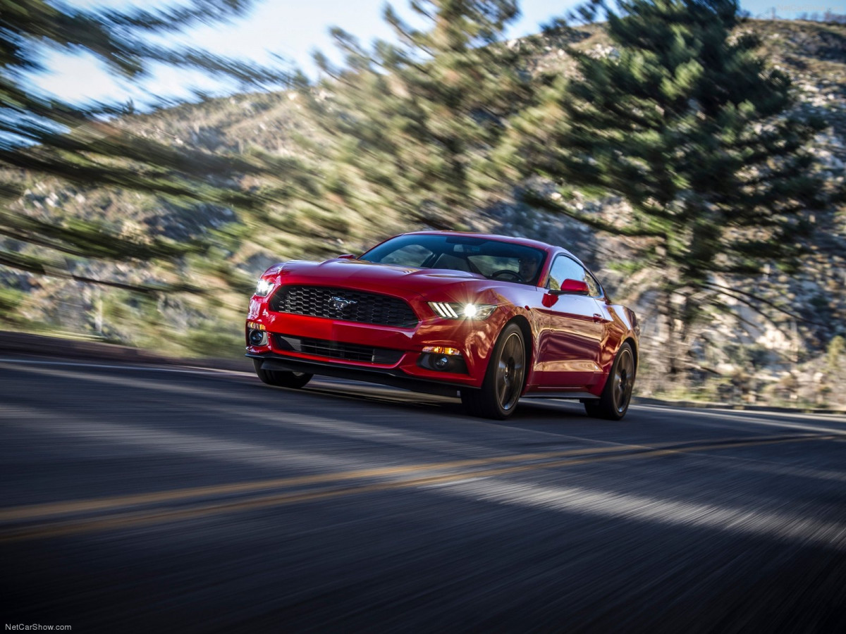 Ford Mustang EcoBoost фото 135161