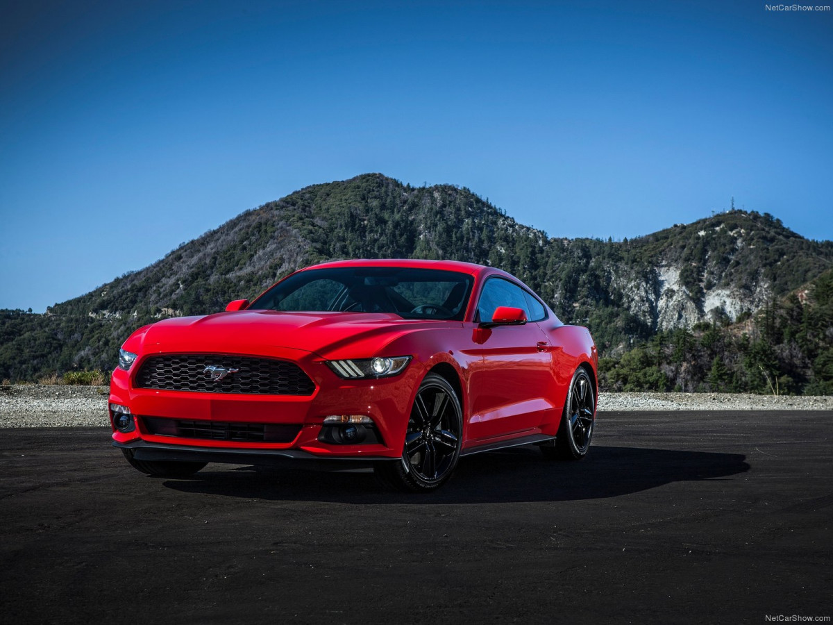 Ford Mustang EcoBoost фото 135168