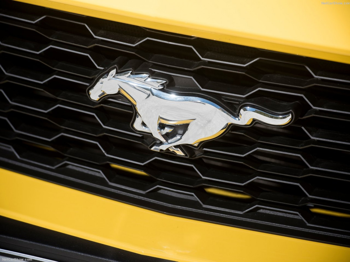 Ford Mustang EU-Version фото 147666