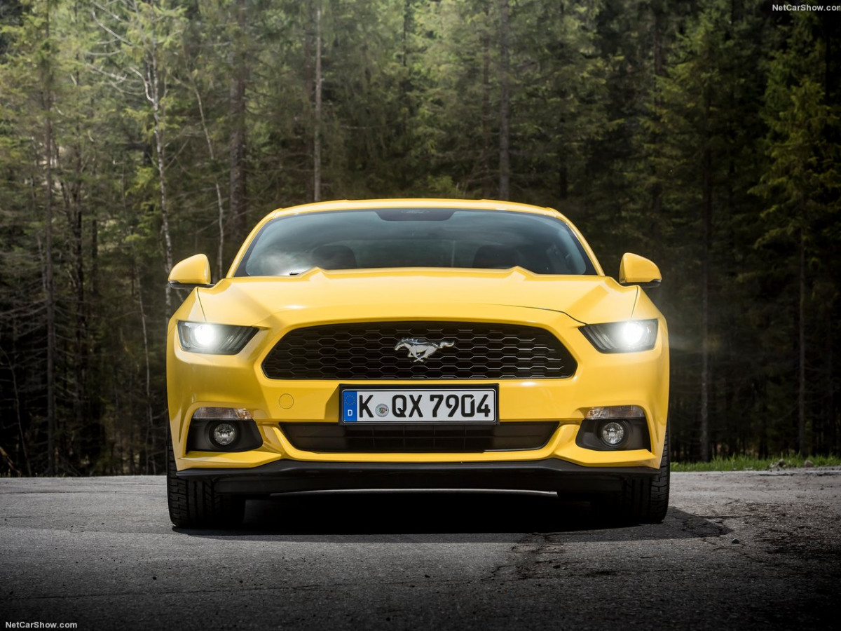 Ford Mustang EU-Version фото 147688